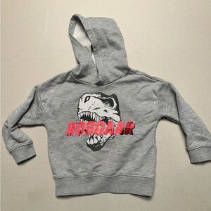 Gray Dinosaur Hoodie for Kids